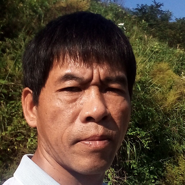 兆花朵杂的照片