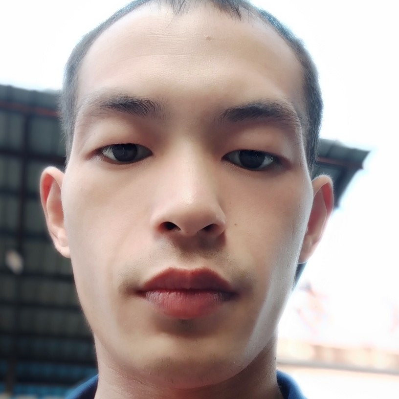 孤狼的照片