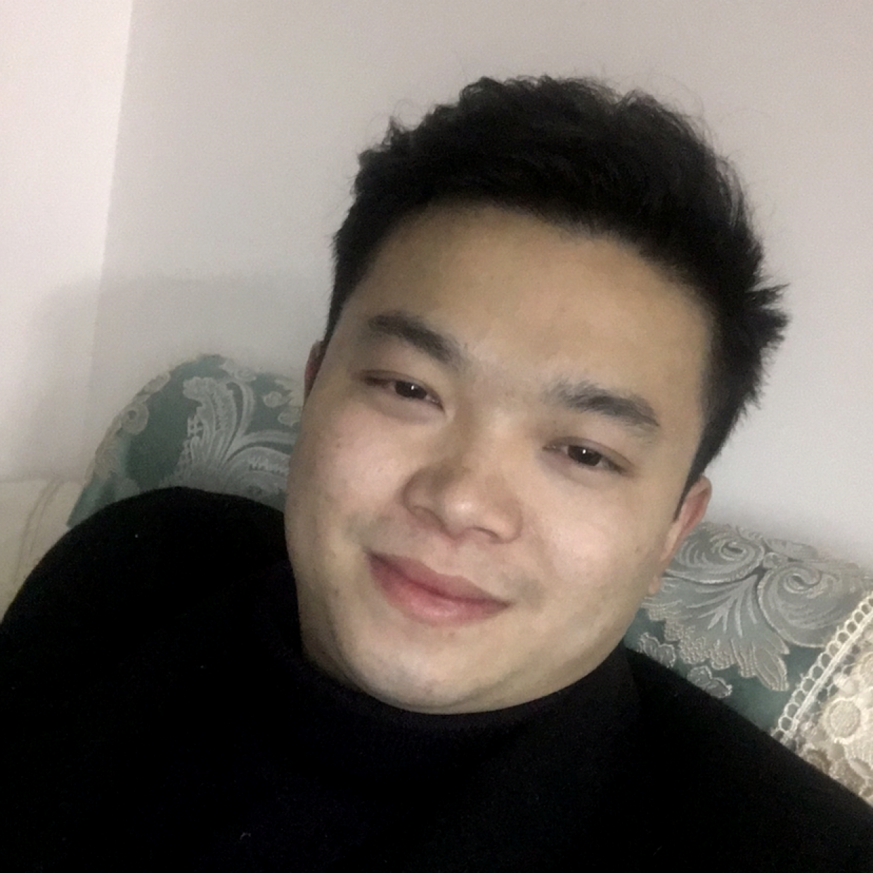 追寻的康乃馨的照片