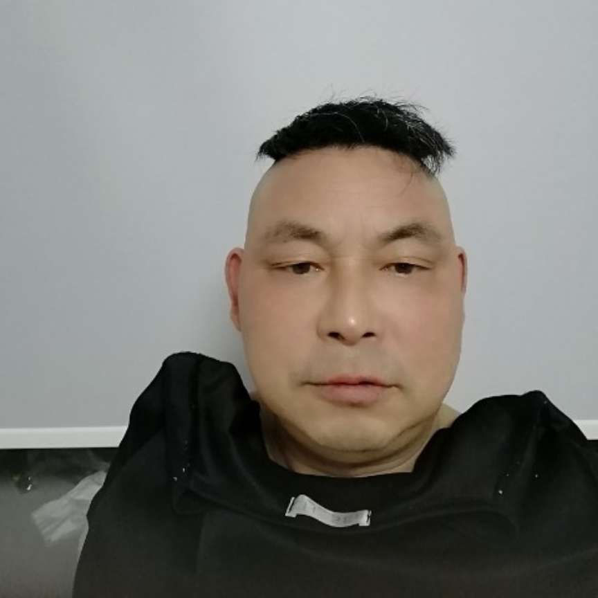 飞鸟用端庄的照片