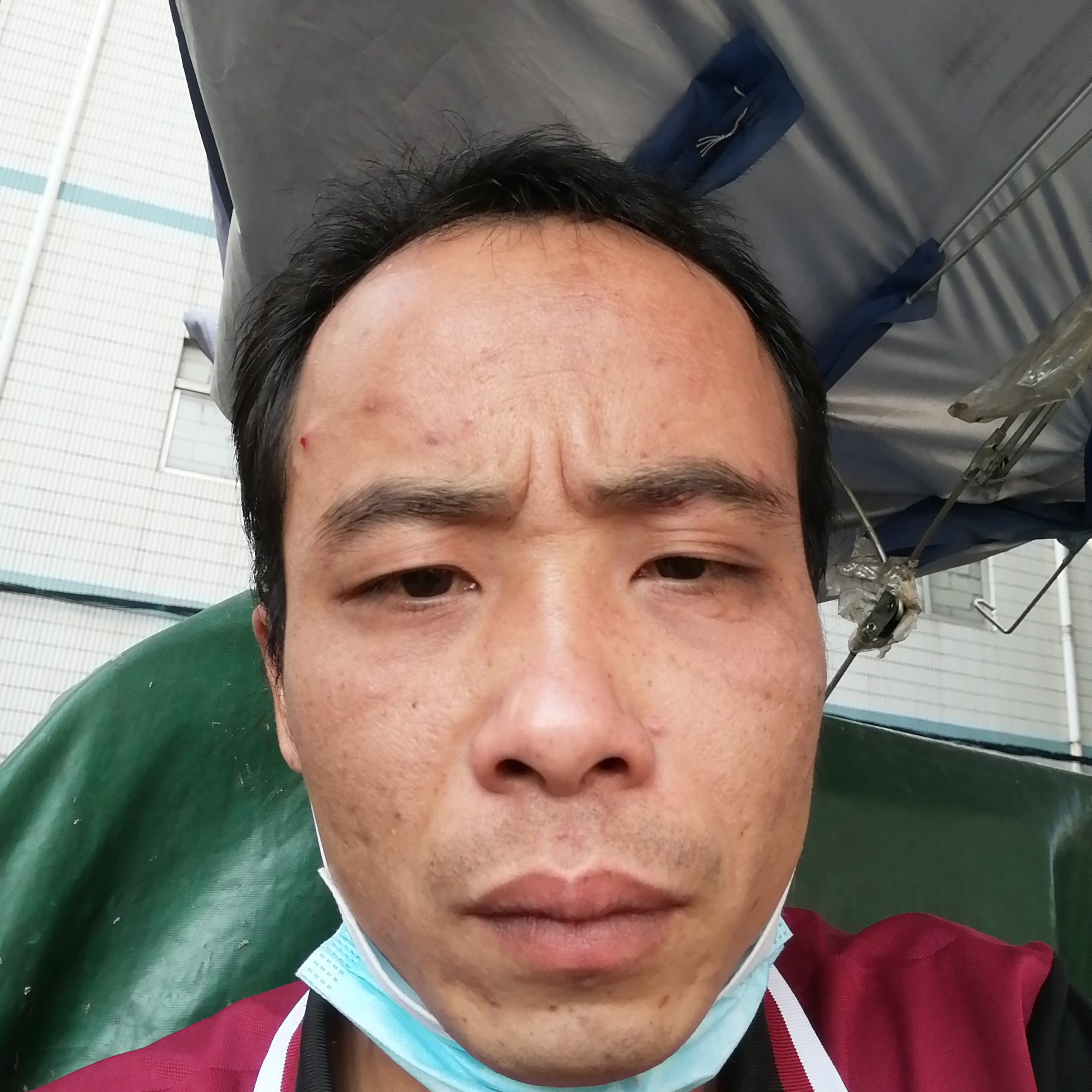 绚烂放弃天空的照片