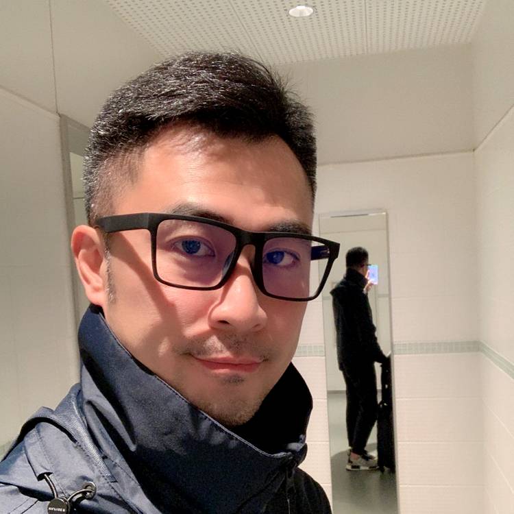 枫叶永恒的照片