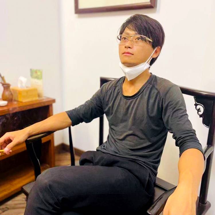 秀丽黑猫的照片