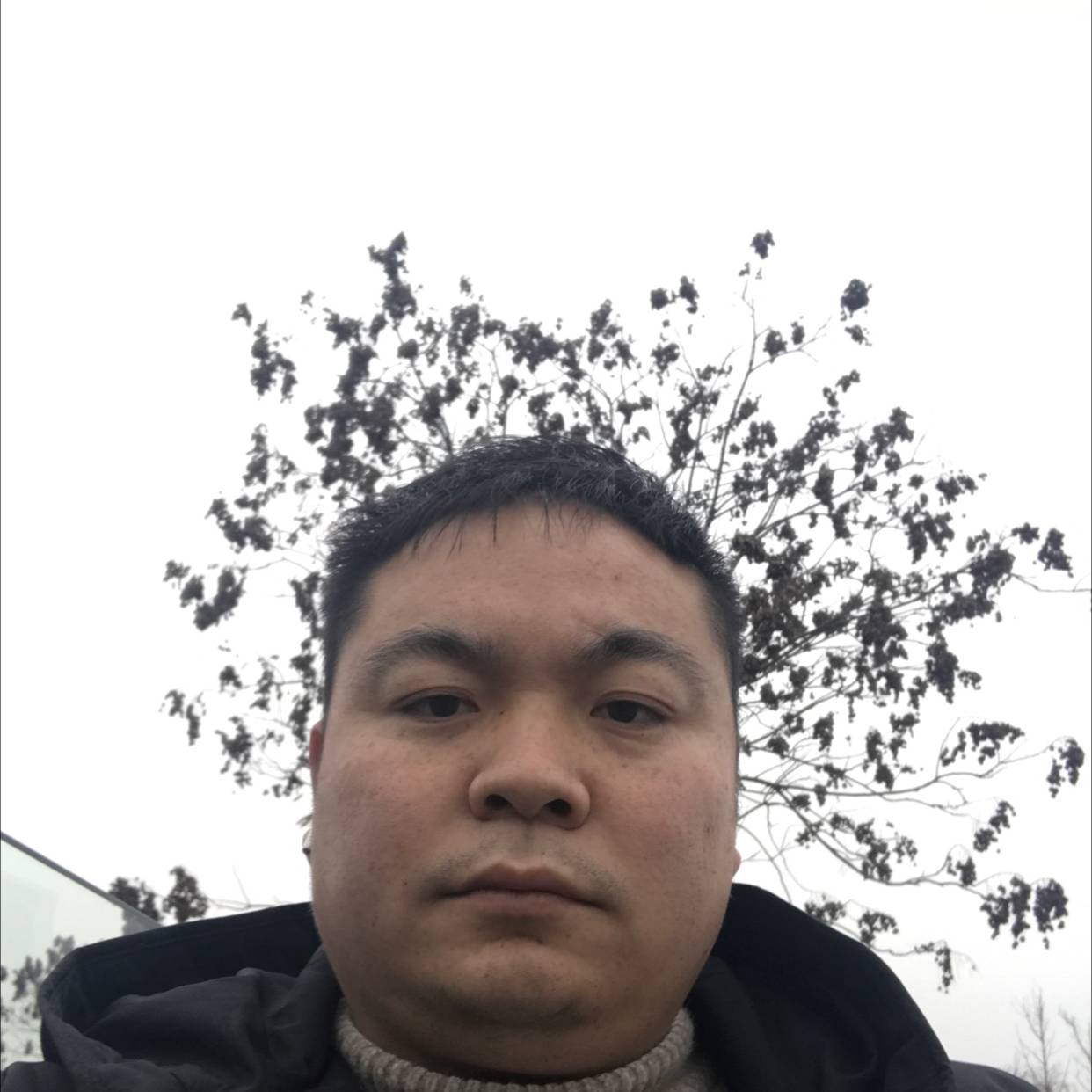 铃铛就大气的照片