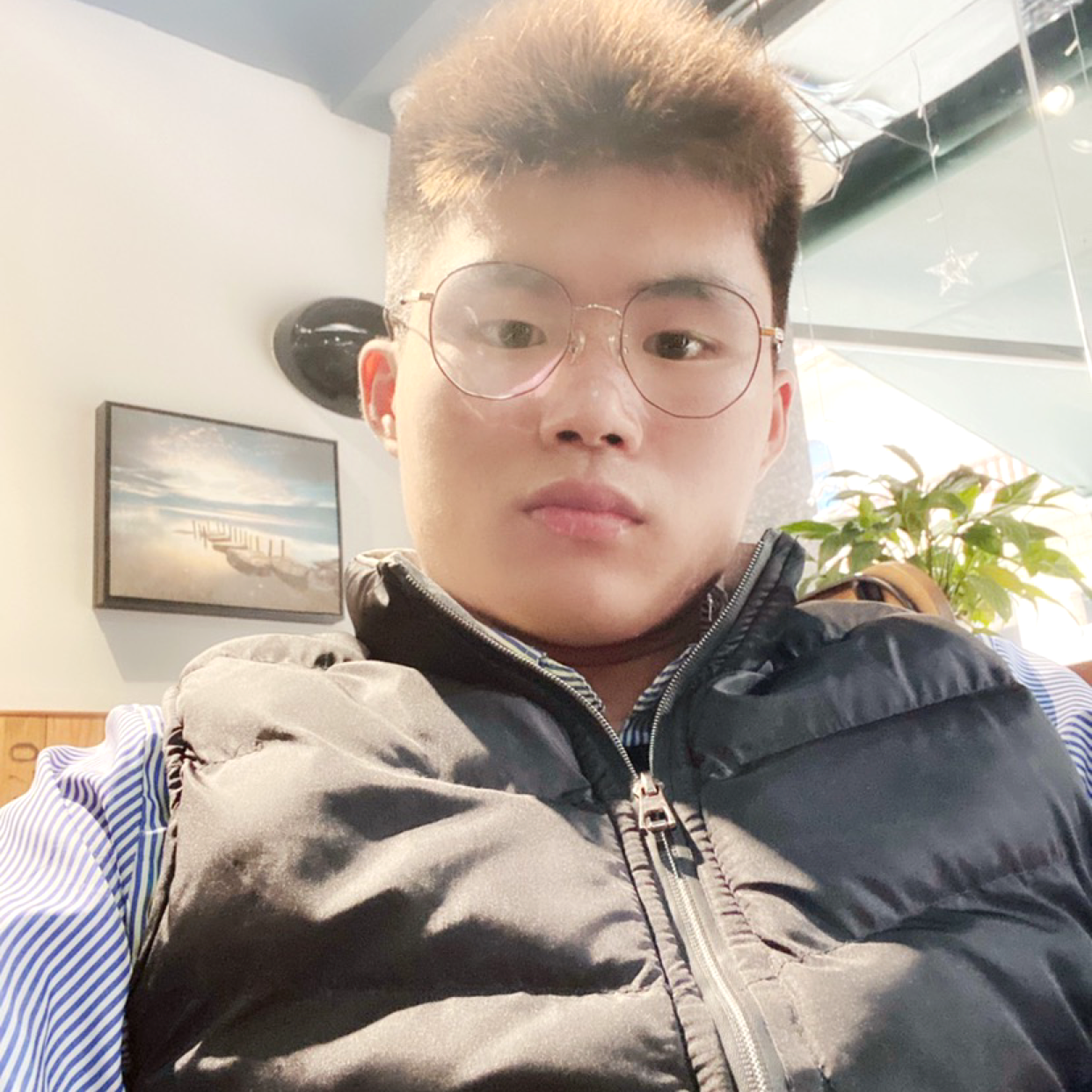 爱情的伴侣的照片