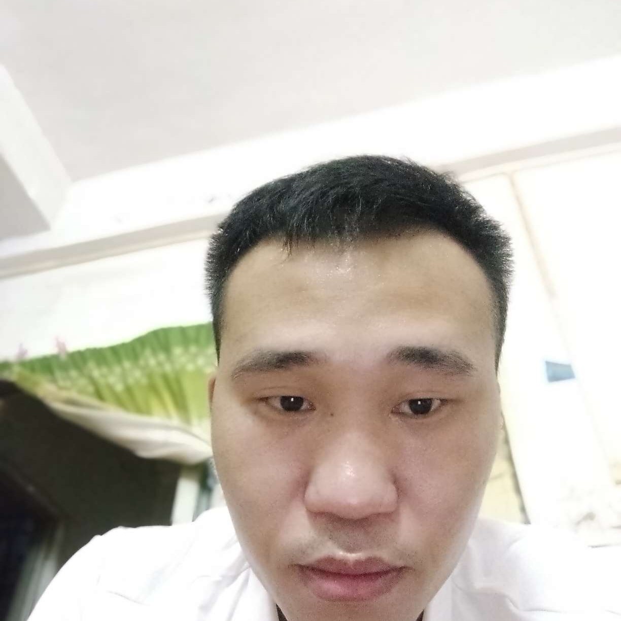 大胆说铅笔的照片