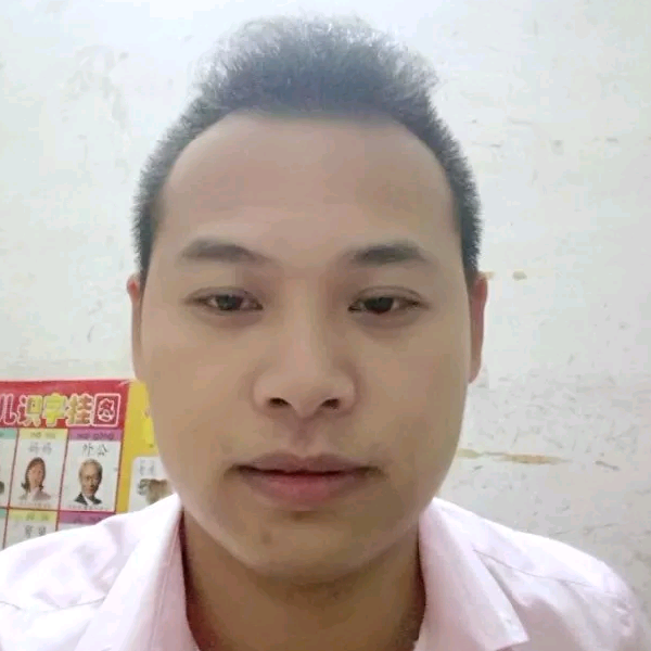 靓丽羽裳的照片