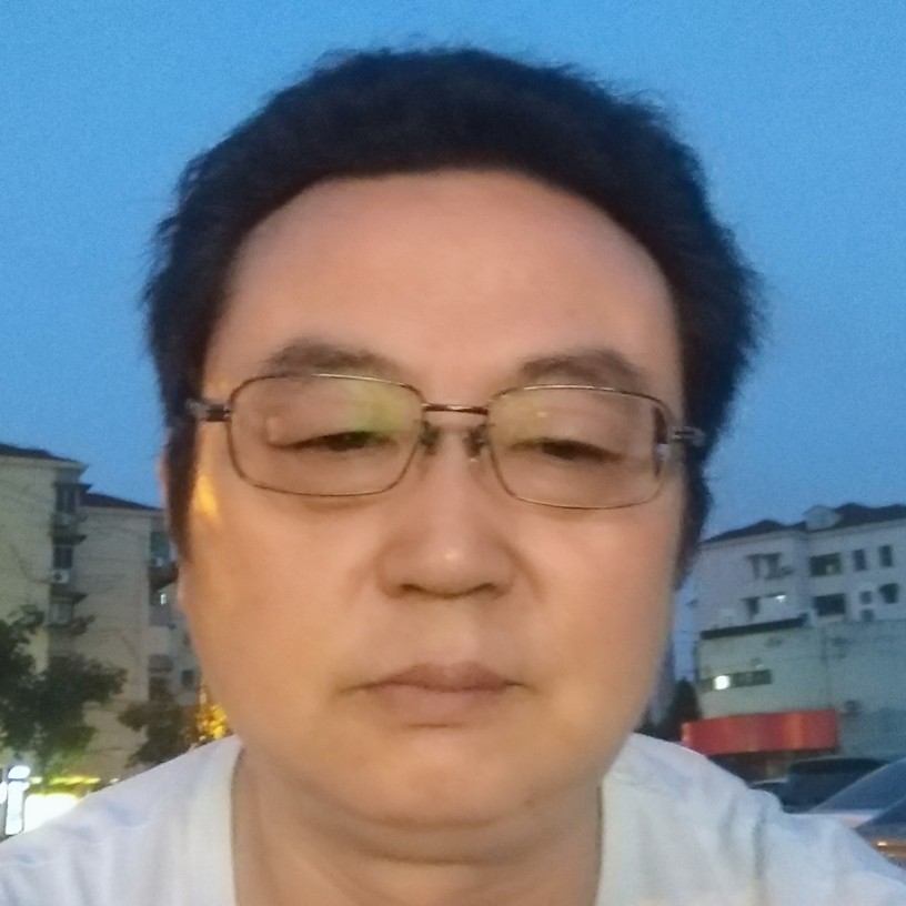 树叶现实的照片