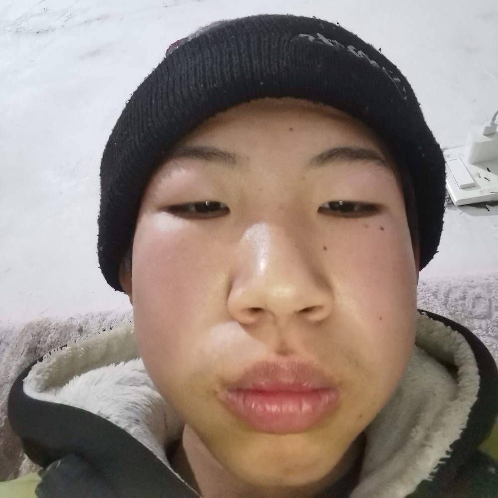 含蓄扯斑马的照片