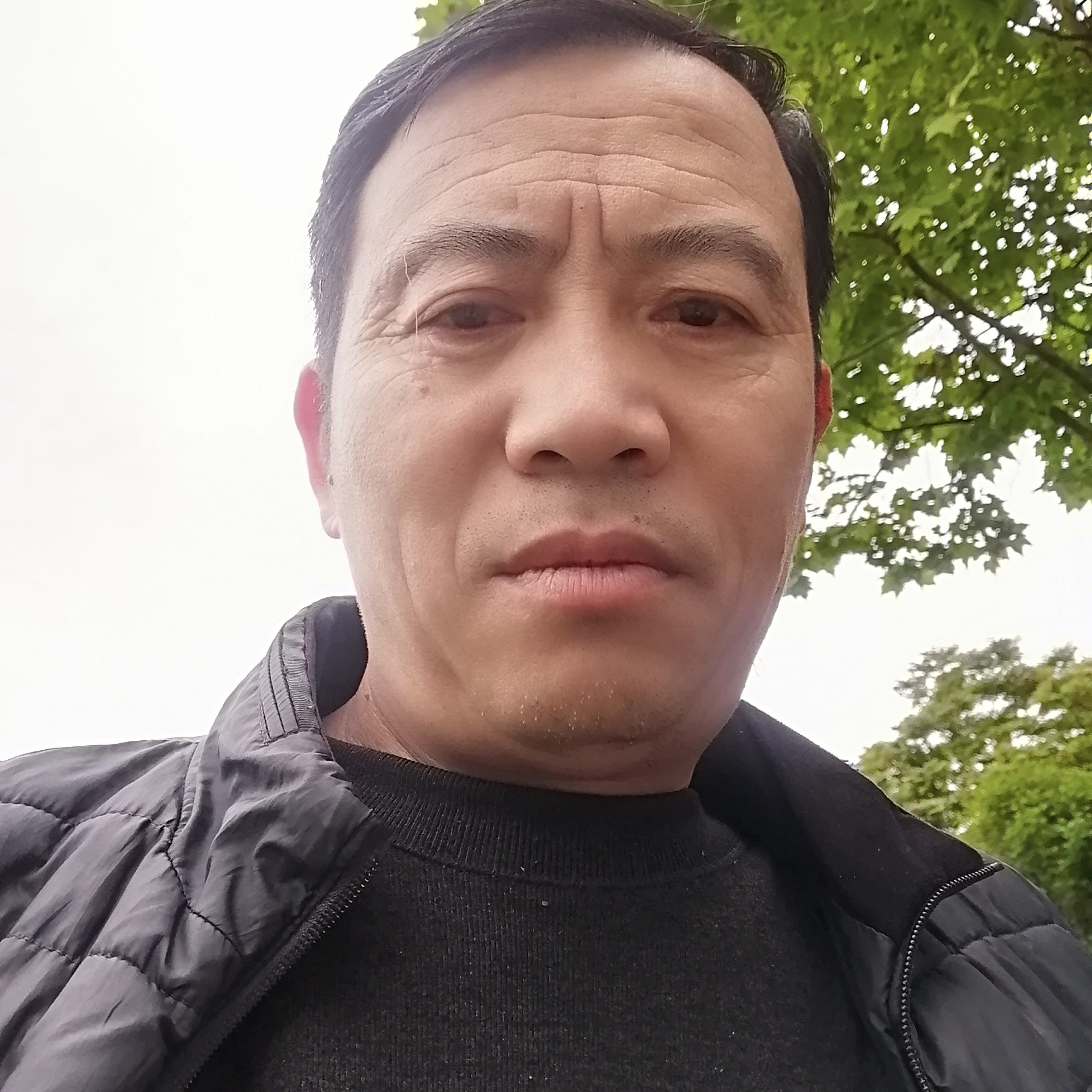 冷月泪了隐形的照片