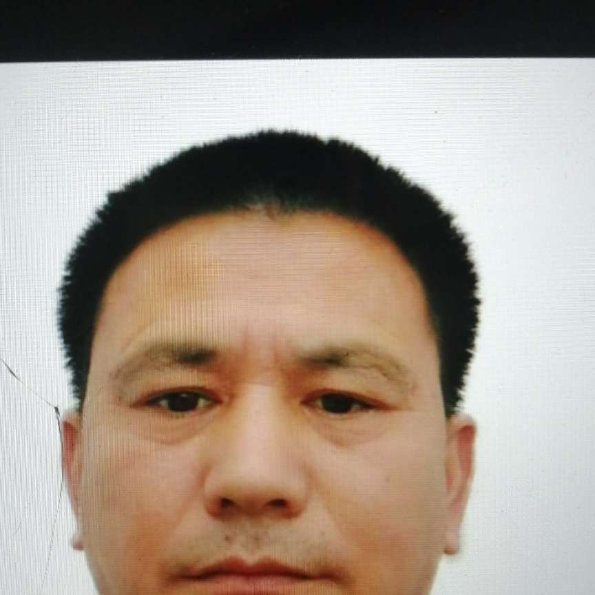 阵晨阳光的照片