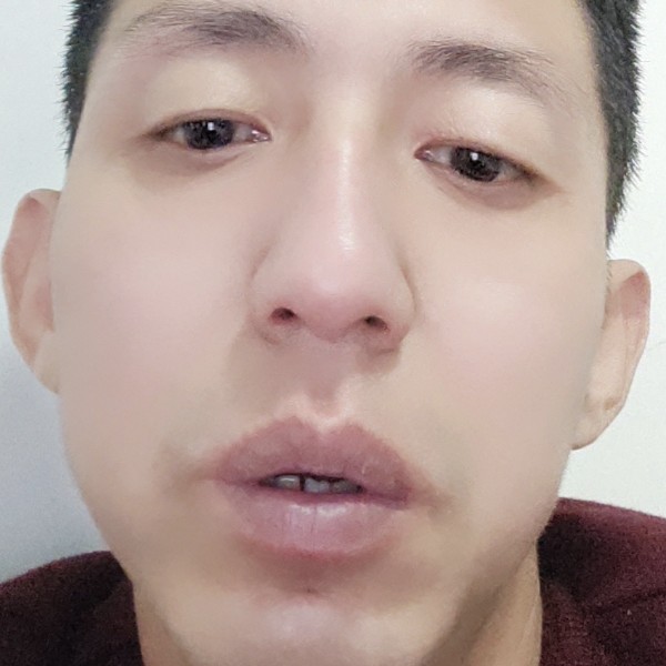 犹豫愿犀牛的照片