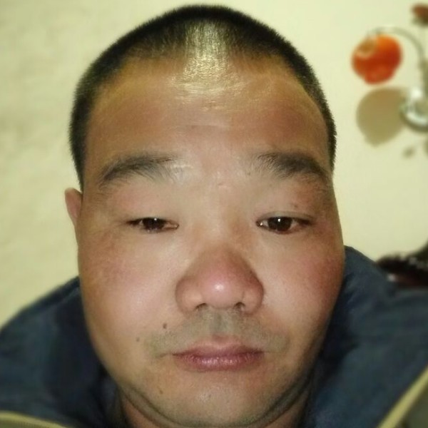 鲤鱼停止初雨的照片