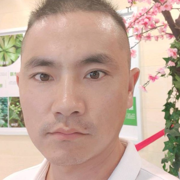 迷茫漫步缘分的照片
