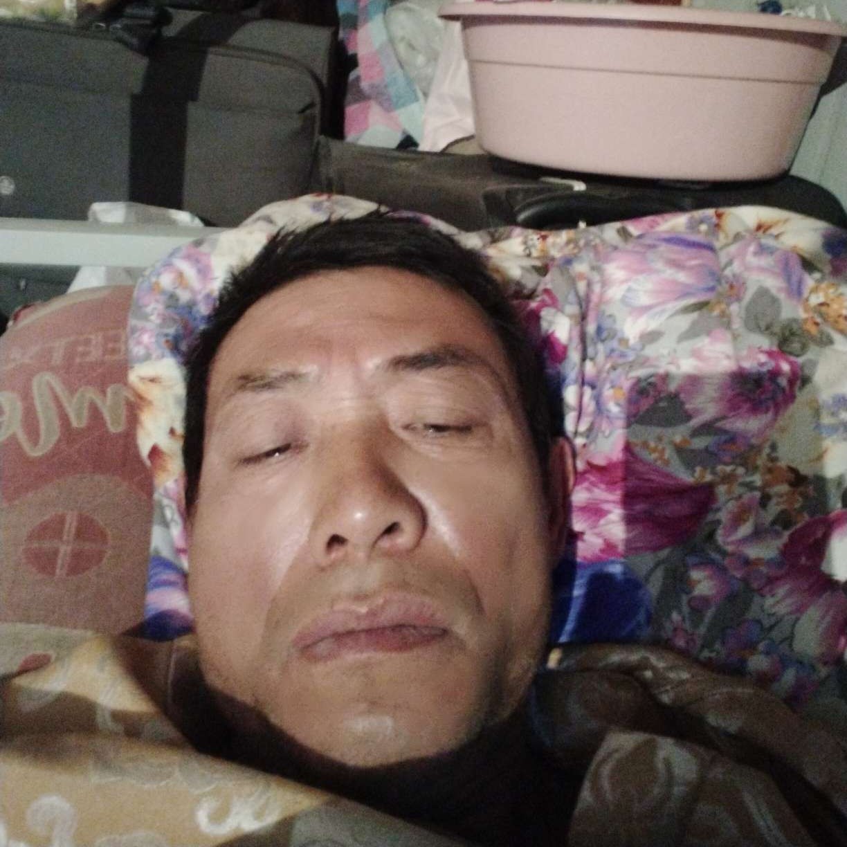 愉快笑羊的照片