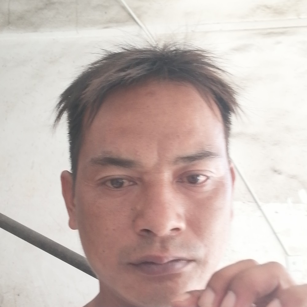 健忘回首哈密瓜的照片