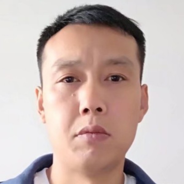 儒雅还飞鸟的照片
