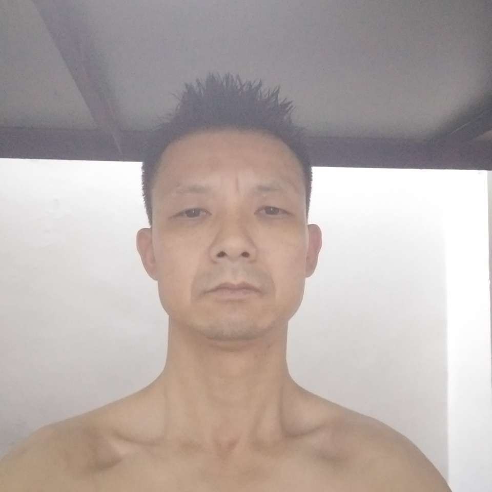 罗选举的照片