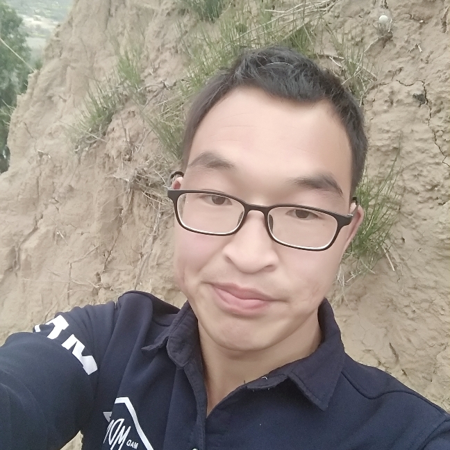 叶落孤独的照片