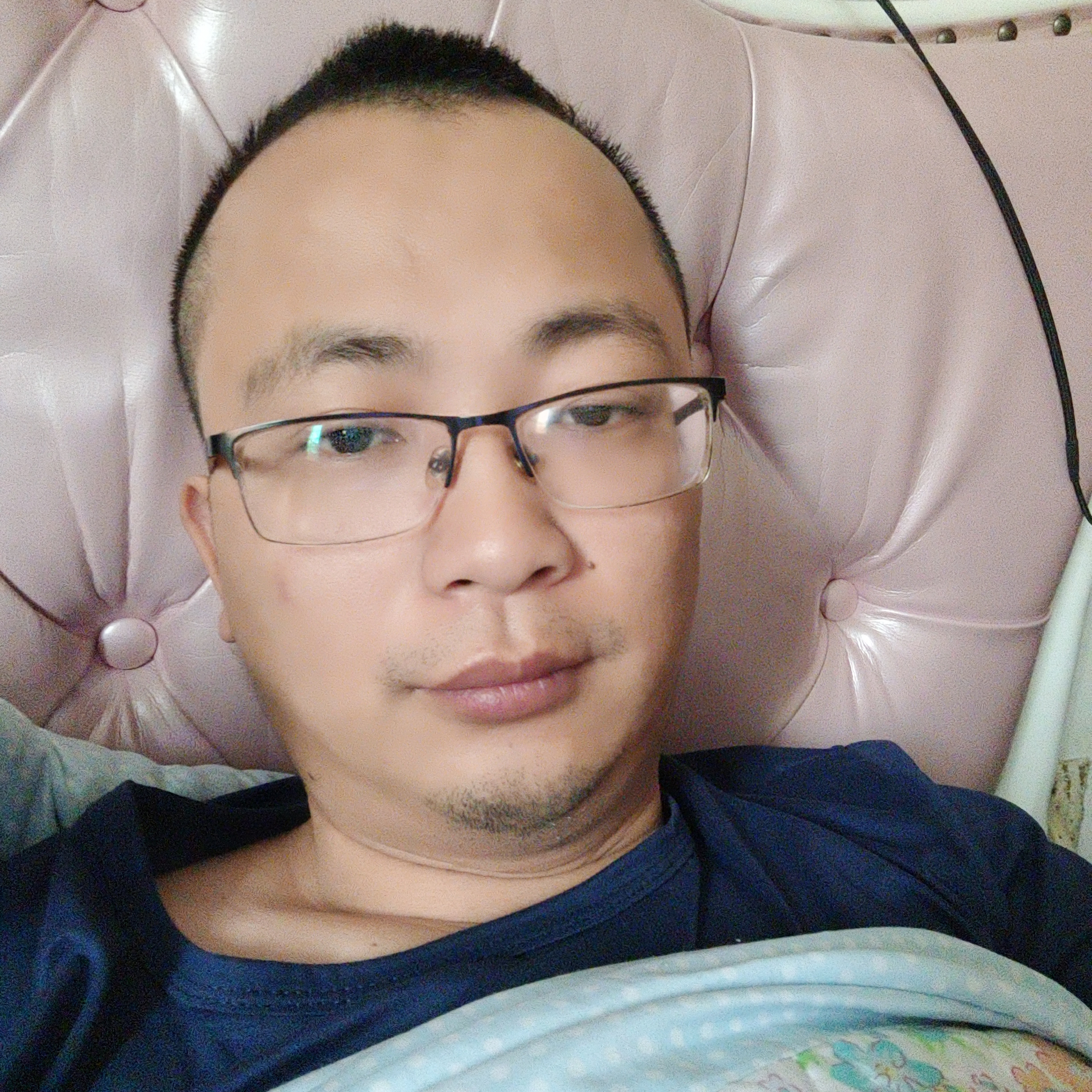 小刺猬有活力的照片