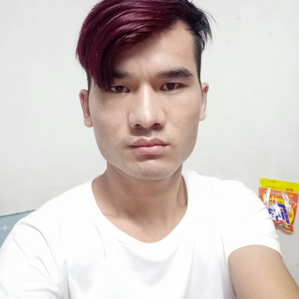 小懒猪多情的照片