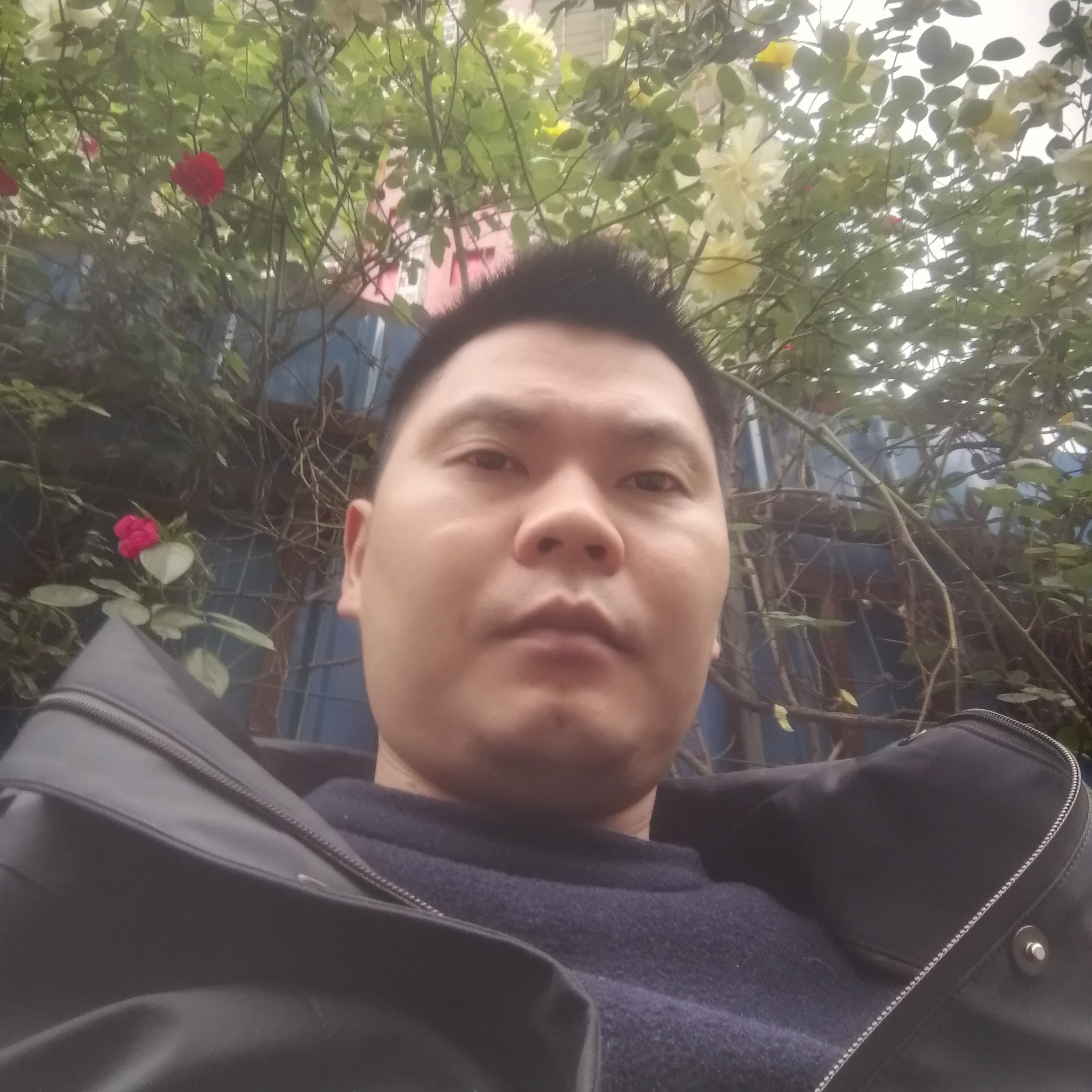 东有清风的照片