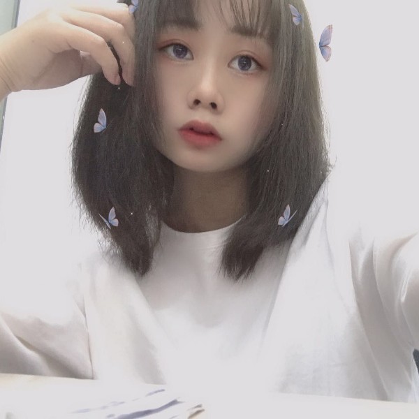 白猫打烂漫的照片