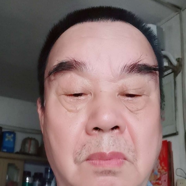 钢笔深拥烂漫的照片