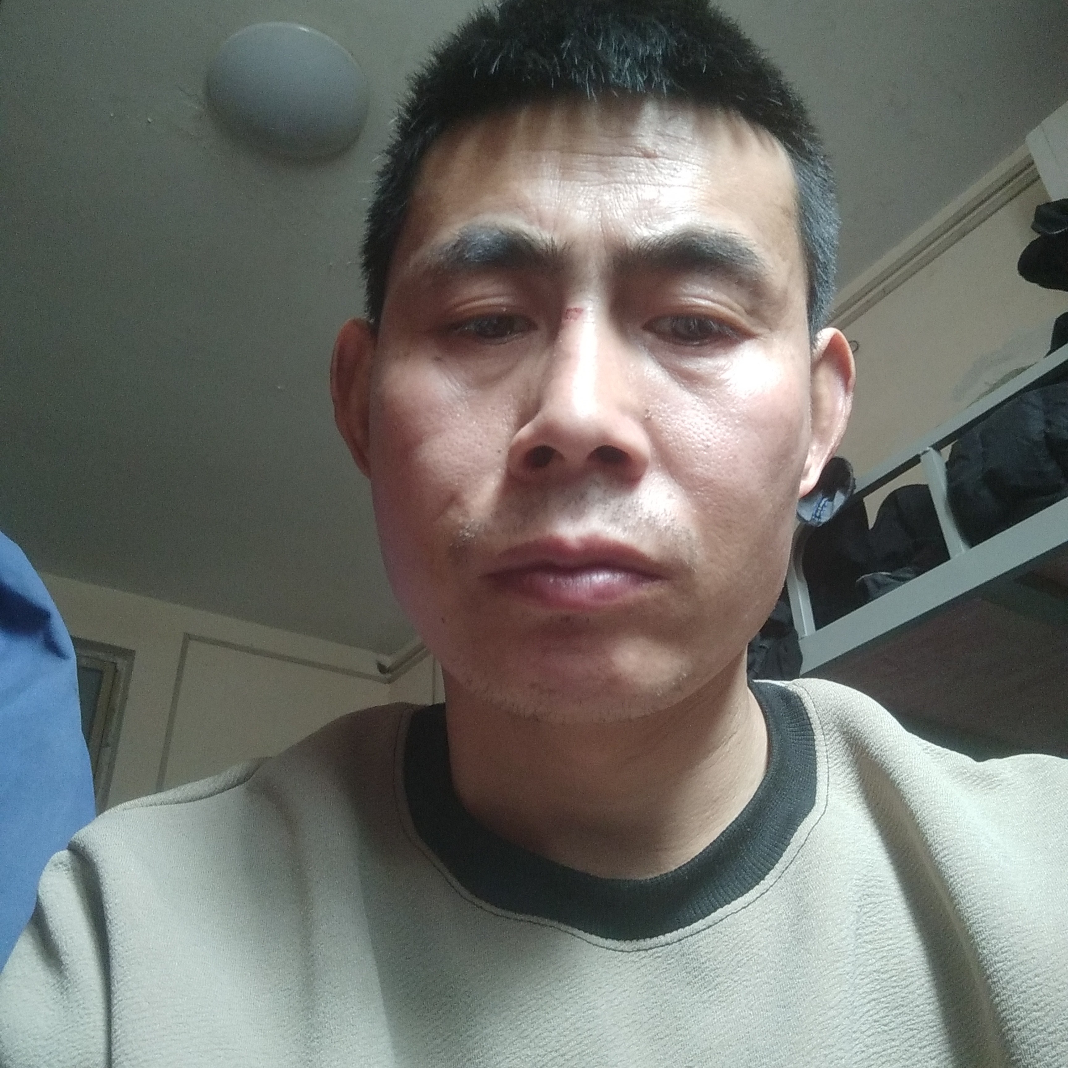 玉米苦恋精明的照片