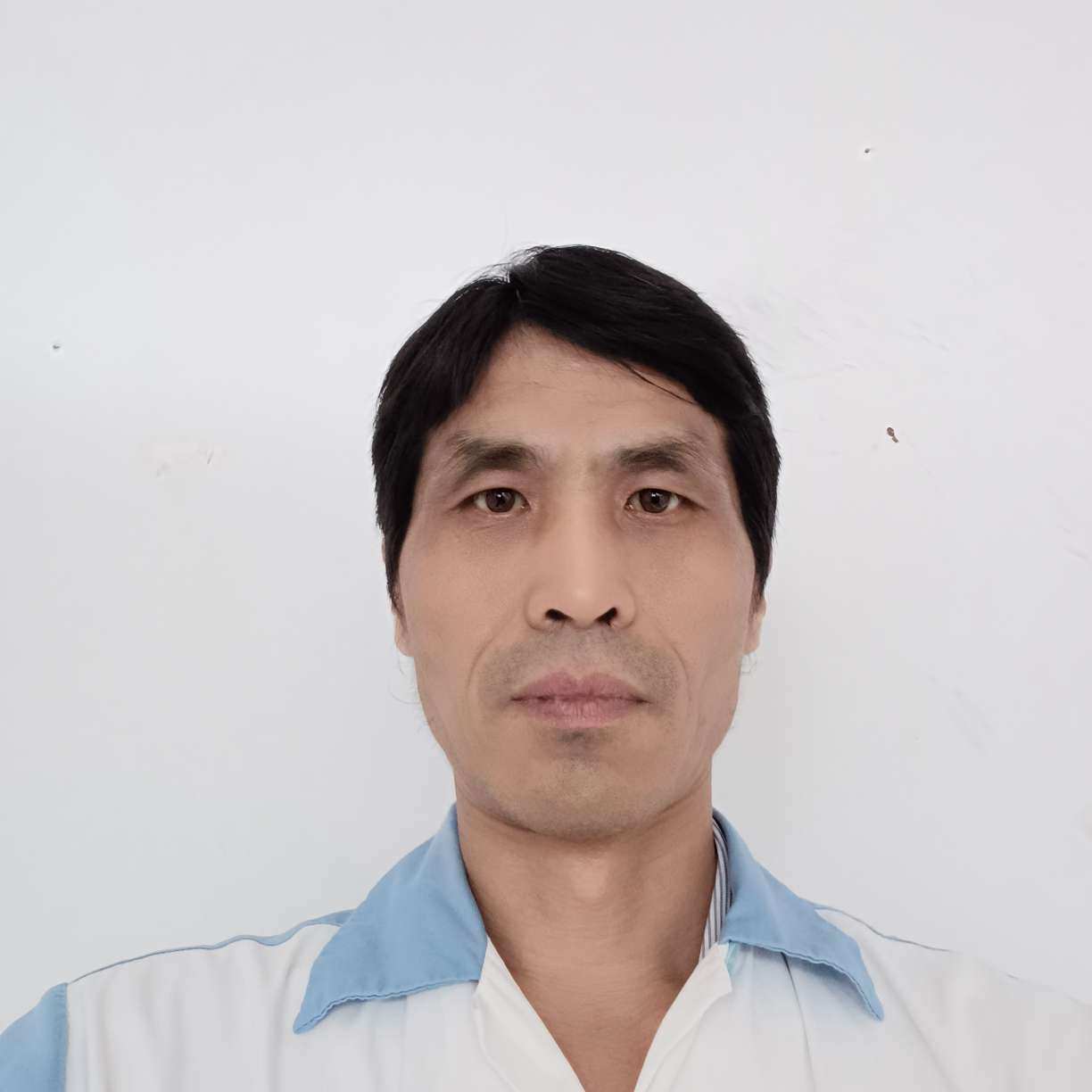 惊鸿与想人陪的照片