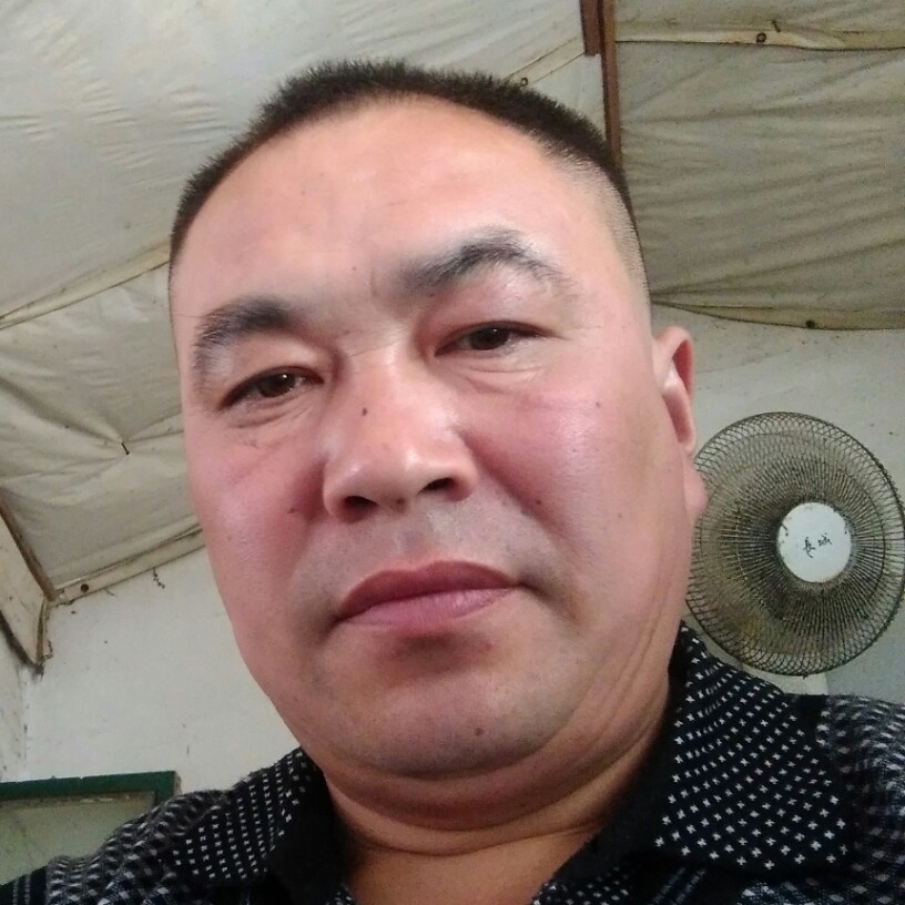 香蕉舒荷的照片