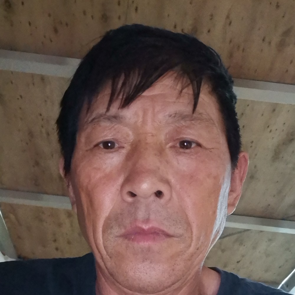 蜜蜂强健的照片
