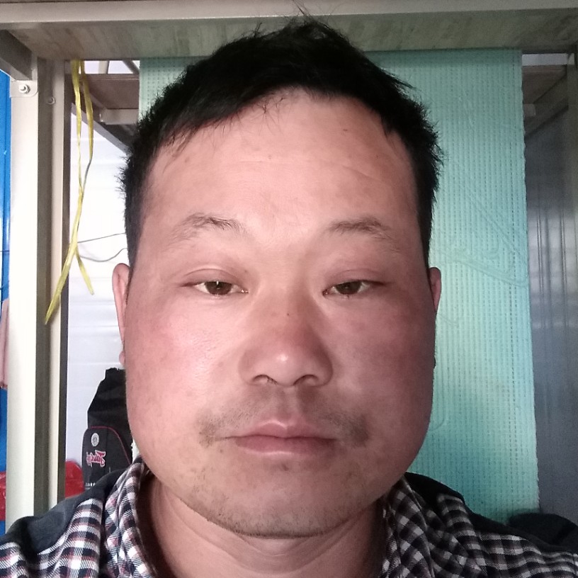 猫咪还霸气的照片