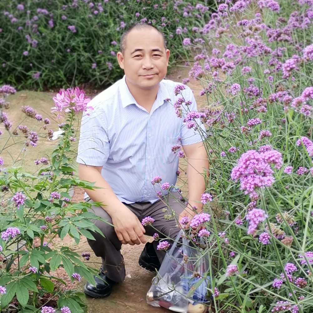 外向拾忆绿草的照片