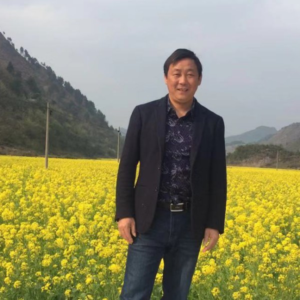 毛衣苦恋默默的照片