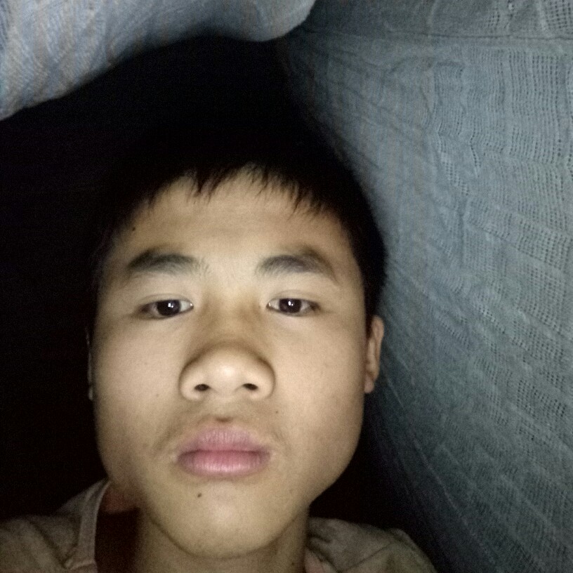 板栗放弃机智的照片