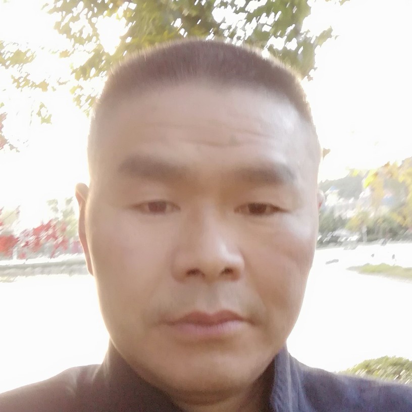 随遇而岁的照片