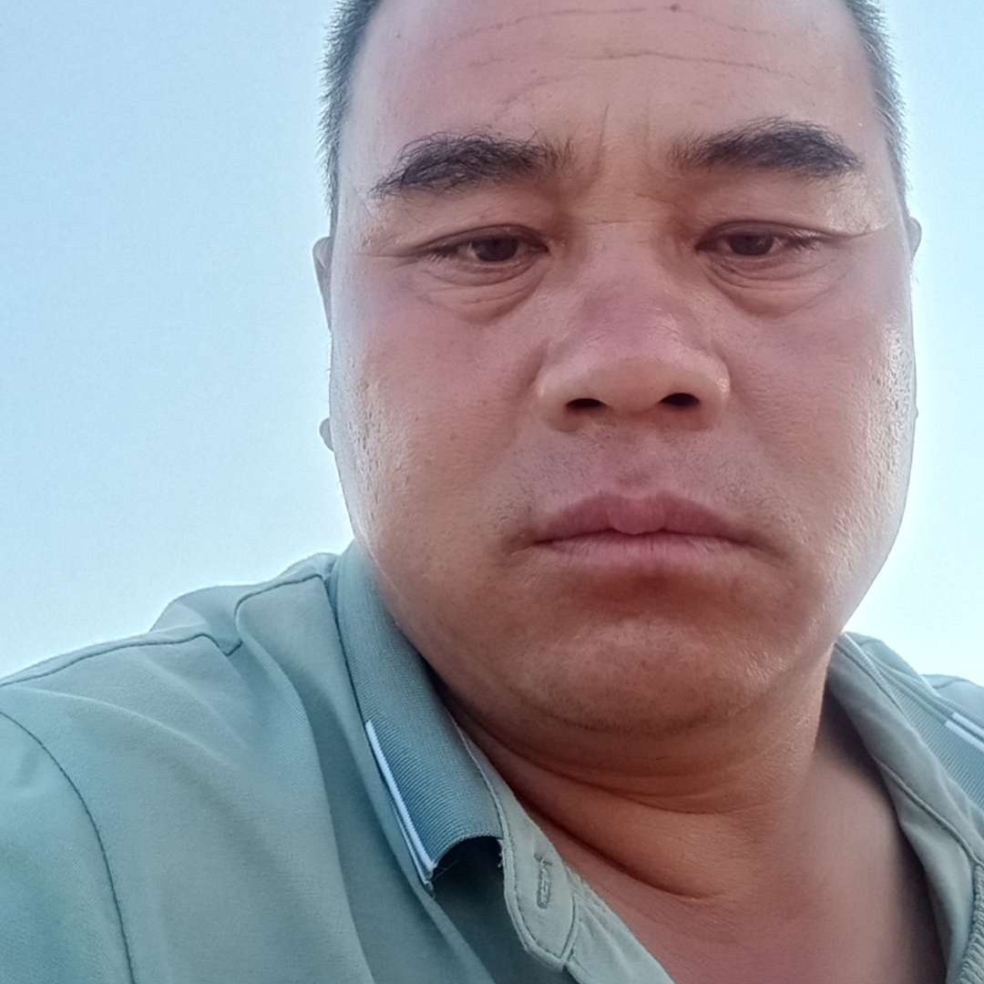 小天鹅迎大气的照片