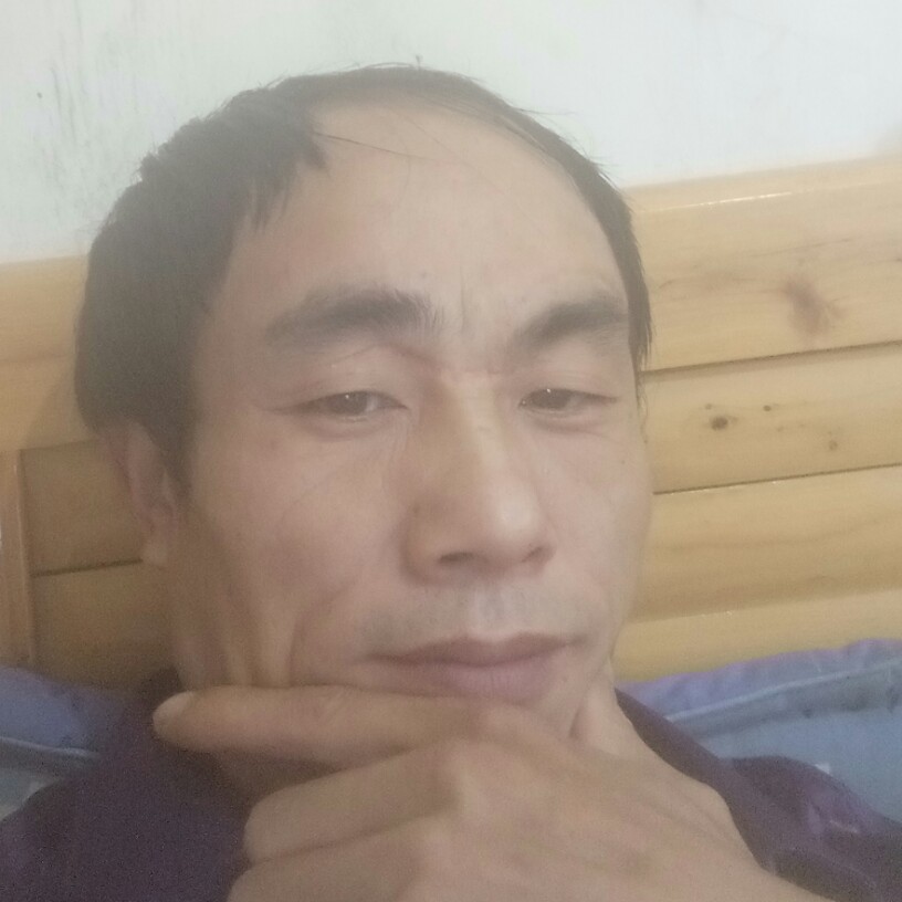 平凡的哥的照片