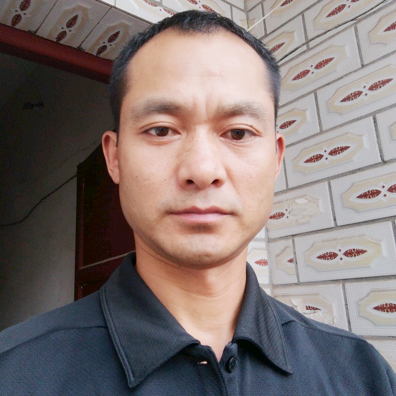 杨大傻子似的的照片