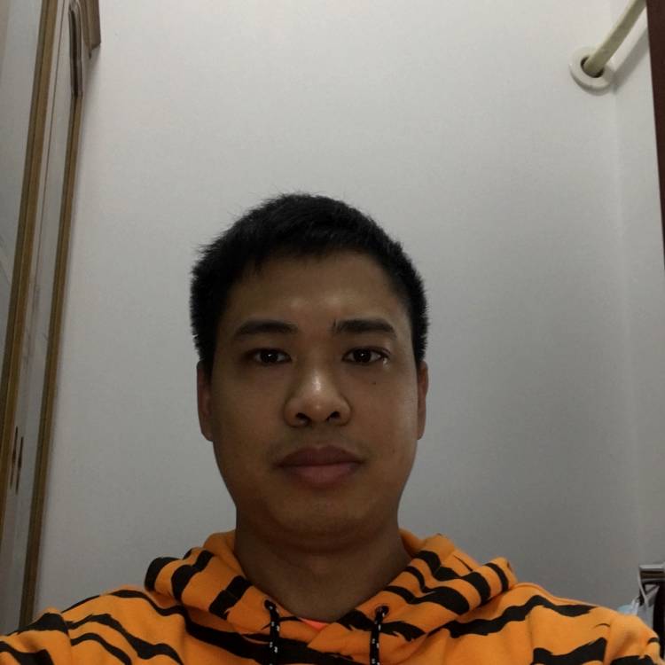 乌龟故意鳄鱼龟的照片