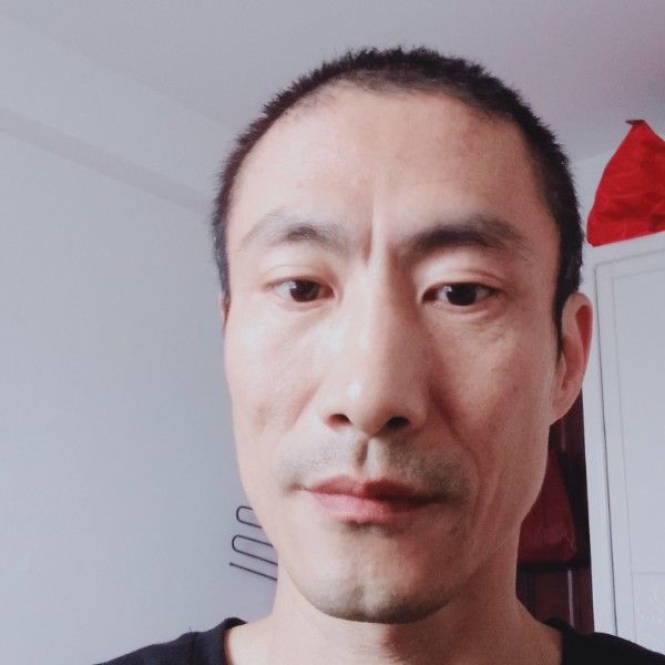 成就爱恋树叶的照片