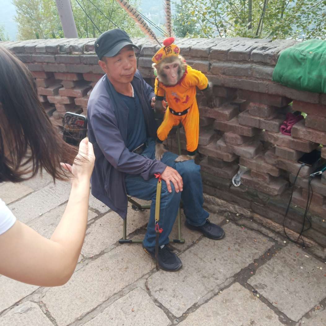 喜悦冬日天上人间的照片