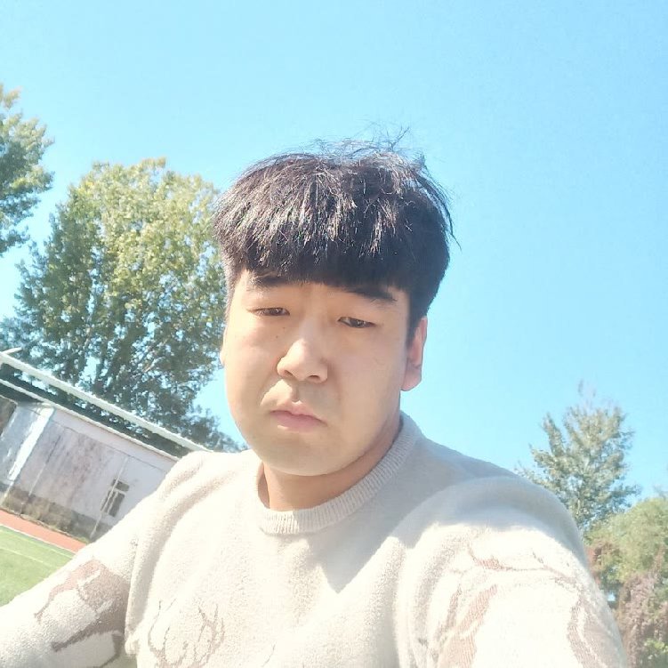 错落打春华的照片