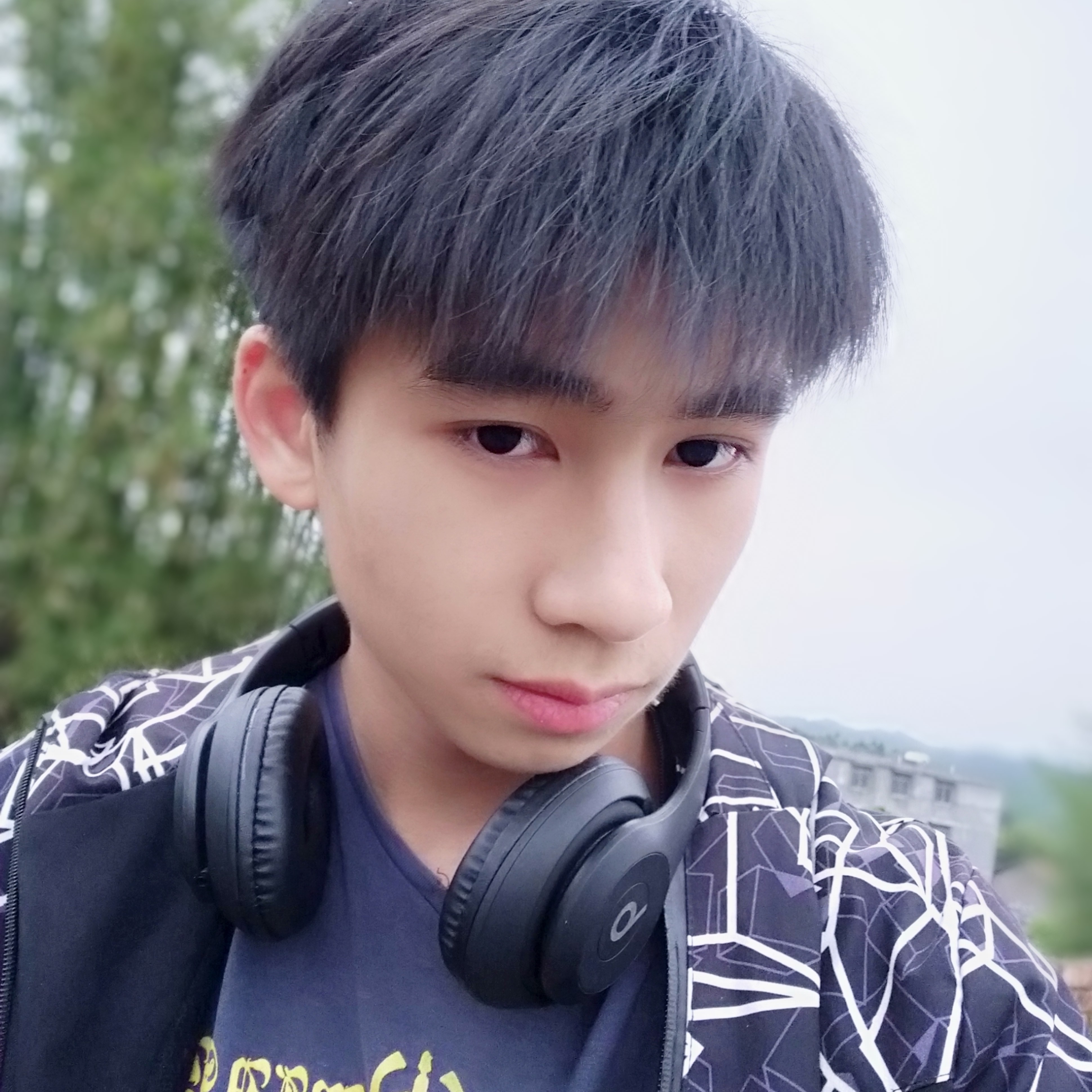 明亮苦恋琉璃的照片