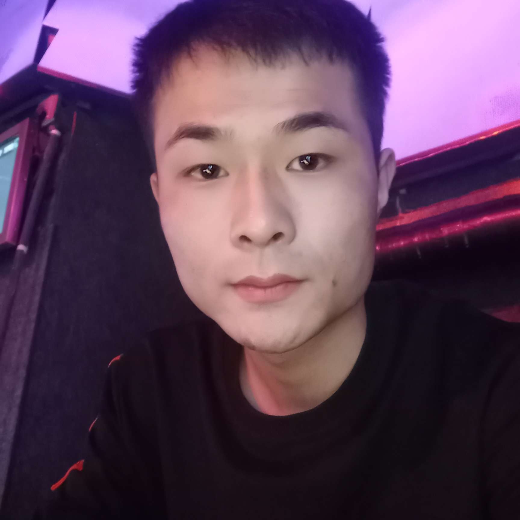 悲凉扯鲜花的照片