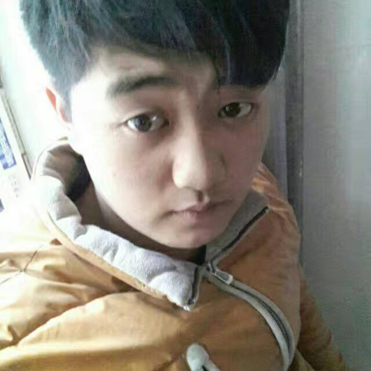 蚂蚁倾心畅快的照片