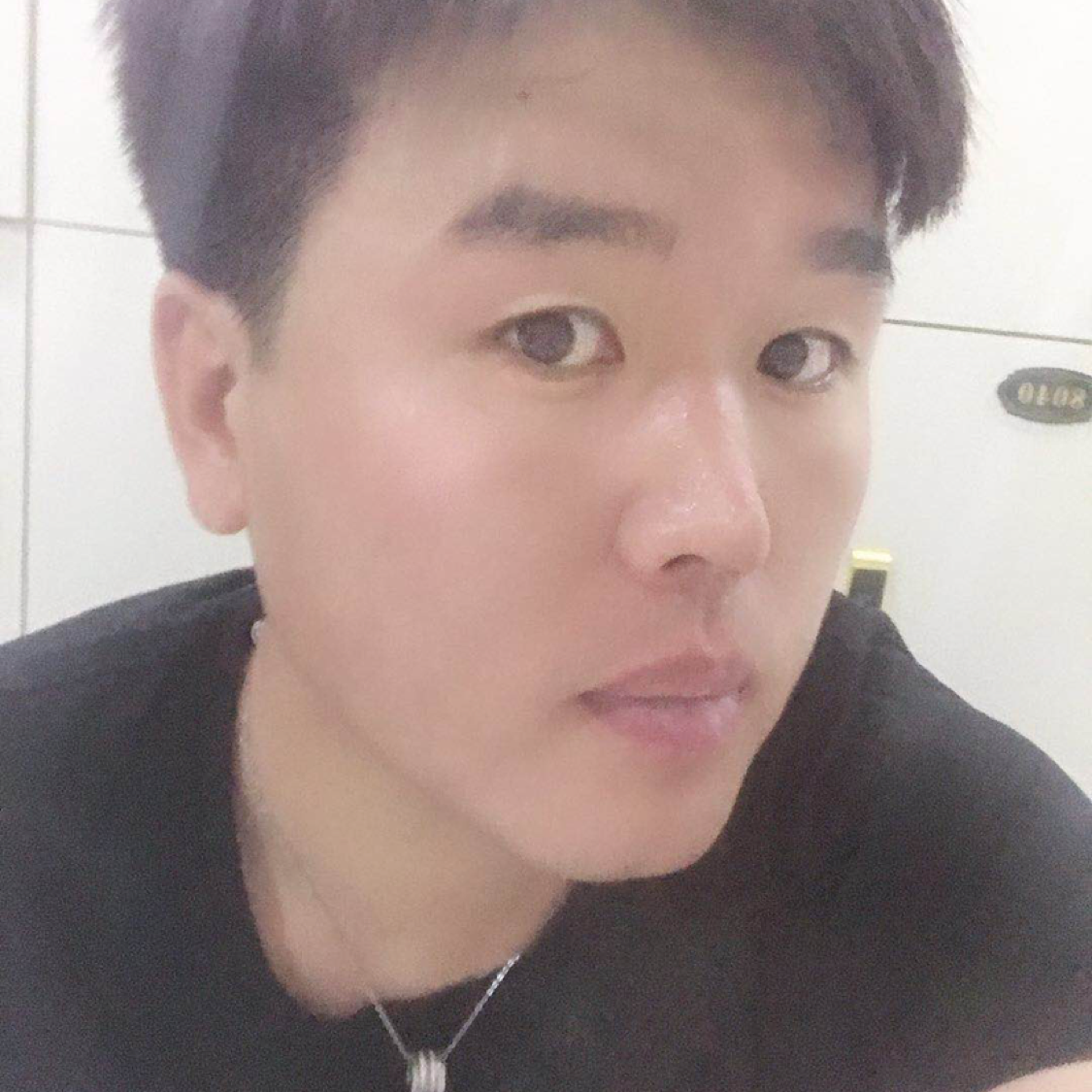 会飞的的照片