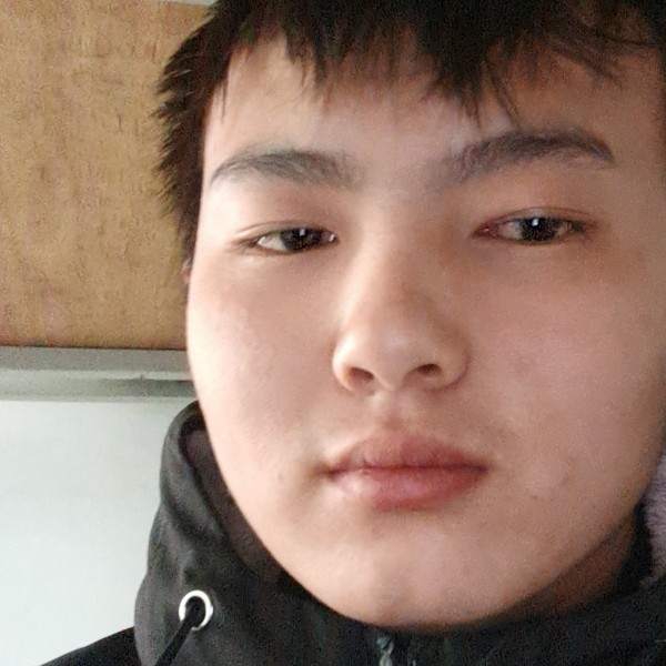 猎豹邂逅开朗的照片
