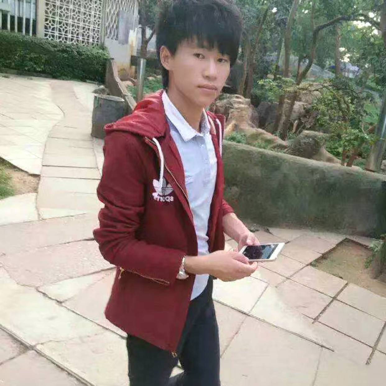 蝶恋窃窃私语的照片